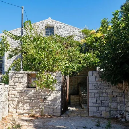 Adamantia فيلة *